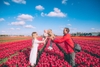du-lich-phap-bi-ha-lan-hoi-hoa-tulip-keukenhof