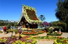 tour-du-lich-da-lat-bao-ve-may-bay-khu-hoi-3-ngay-2-dem