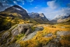 du-lich-anh-scotland-le-hoi-hoa-chelsea