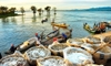 tour-mien-tay-3n2d-my-tho-ben-tre-can-tho-chau-doc