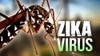 VIRUS ZIKA: TRIỆU CHỨNG VÀ ẢNH HƯỞNG NHƯ THẾ NÀO ĐẾN NGƯỜI BỊ NHIỄM?