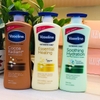 DƯỠNG THỂ VASELINE INTERSIVE CARE