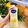 DƯỠNG THỂ VASELINE INTERSIVE CARE