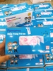 Khẩu Trang Em Bé Nam Anh Famapro - 50 cái
