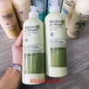 COMBO DẦU GỘI DẦU XẢ BIOTIN & COLLAGEN VOUDIOTY OIL CONTROL NGỪA GÀU, PHỤC HỒI KIỀM DẦU (XANH LÁ)