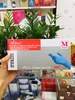 GĂNG TAY Y TẾ KO BỘT VGLOVE  NITRILE