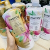 GỘI XẢ PANTENE PASSION FRUIT & COCOA BUTTER - 1.13L