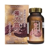 NẤM LINH CHI ĐỎ NICHIEI BUSSAN NOURISHING REISHI 300 VIÊN