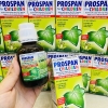 SIRO CHỮA HO CHO TRẺ PROSPAN ÚC 100 ML