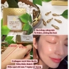 TINH CHẤT COLLAGEN MULTI VITA CAPSULE AMPOULE 28 DAYS