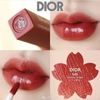SON DIOR ADDICT LIP TATTOO 541 BACKSTAGE PROS - đỏ nâu đất