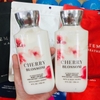SỮA DƯỠNG THỂ CHERRY BLOSSOM BATH & BODY WORKS 236 ML