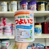 SỮA BEANSTALK 9-3 CHO BÉ TỪ 9 THÁNG ĐẾN 3 TUỔI 820 G TÚI ZIP