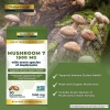 VIÊN UỐNG HỖ TRỢ TĂNG CƯỜNG HỆ MIỄN DỊCH NATURE'S LAB MUSHROOM 7 1,500 MG, 180 VIÊN