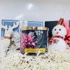 NẾN THƠM BATH & BODY WORKS - 411G