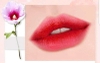 SON DIOR ROUGE VELVET 764 ROUGE GIPSY - ĐỎ NHUNG