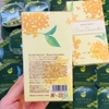 NƯỚC HOA MASSE MOLLY BLOOM OSMANTHUS EDT - 50ML