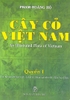 Cây cỏ Việt Nam (bộ 3 tập)