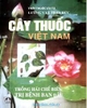 CÂY THUỐC VIỆT NAM: TRỒNG HÁI & CHẾ BIẾN - tinhhoaxanh.vn