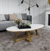Bàn Trà Sofa Elip Mặt Đá Trắng Chân Sắt Sơn Vàng - BT22.3