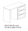 BÀN LÀM VIỆC HIỆN ĐẠI ĐƠN GIẢN CÓ HỘC KÉO - BLV08