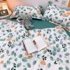 Bộ Chăn Ga Gối 5 Món Cotton Poly Hàn Quốc In Hình Chiếc Lá Phối Trên Nền Màu Trắng Xanh - CP42