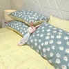 Bộ Chăn Ga Gối 5 Món Cotton Poly Hàn Quốc In Hình Hoa Cúc Trắng Phối Trên Nền Màu Xanh Vàng - CP44
