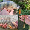 Cá giả Minnow DW69 (48mm-3.3g)