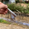 Lưỡi ba tiêu TQ