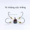 Lưỡi Tứ MC Thúng cúc (thép Trắng)