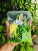Dù PE độ đầu cần tay buộc sẵn
