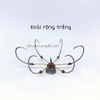 Lưỡi M Xoài rộng Trắng - Lục