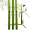 Cần tay đốt ngắn Trúc xanh (Thu gọn 65cm)