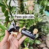 Pat gắn ghế câu đài VCC (Vàng đen)