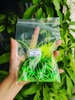 Dù PE độ đầu cần tay buộc sẵn