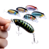 Cá giả Crankbait Mino Warcraft LB17 (60mm-9,7g-1,5m)