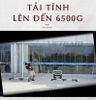 Cần tay Handing Shark