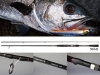 Cần 2 khúc Daiwa Liberty Club Seabass