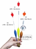 Phao S cọng liền chì đồng cánh phim