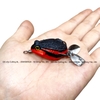 Nhái hơi Cóc Tini Thailand (3.5cm-6g)