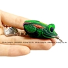 Nhái hơi Hirushima Frog mắt lồi