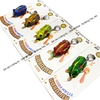Nhái hơi Hirushima Frog mắt lồi