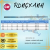 Cần đài GW Chaoxifeng Rồng Xanh 5H (BHTĐ)