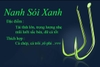 Lưỡi đơn Nanh sói