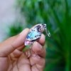 Cá sắt cánh bướm LK