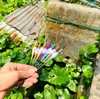 Phao đèn câu đài Tiểu Phượng Hoàng (Cảm ứng)