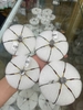 Lưỡi Lục PQ dáng Thúng (Tay cuốn thép)