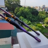 Cần 2 khúc lure Rainbow