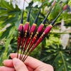 Phao đèn Mỹ Nhân Ngư M8DN