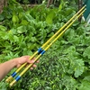 Cần câu đài Hoàng Long 10H (Tặng ngọn)